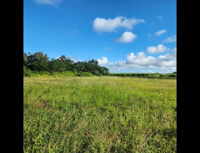 6,778M² VACANT LAND FOR SALE IN MOUNT MORELAND